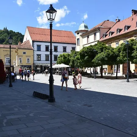 Atrij * Celje